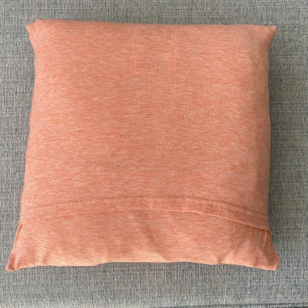 Hocus Pocus Halloween Movie handmade upcycled T-shirt16x16 throw pillow cover